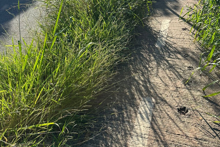 te Edições Completas Outras Classificados Gente Nossa Você Repórter Resumo de No