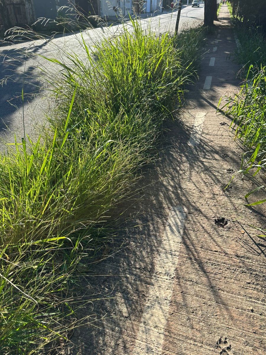 te Edições Completas Outras Classificados Gente Nossa Você Repórter Resumo de No