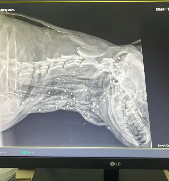 disparos de arma de fogo no bairro dos Frades, em Limeira, nesta terça-feira (24