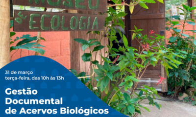 Museu Catavento promove formação técnica sobre gestão de acervos biológicos em parceria com o Sítio Reino Animal de Votorantim