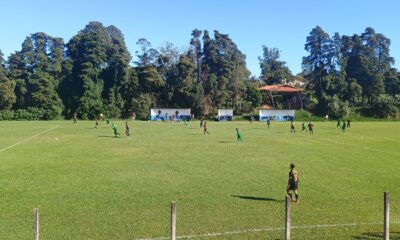 tes Terceiro Setor Alternativa Saúde Classificados Opinião Pulicidade Legal Ediç