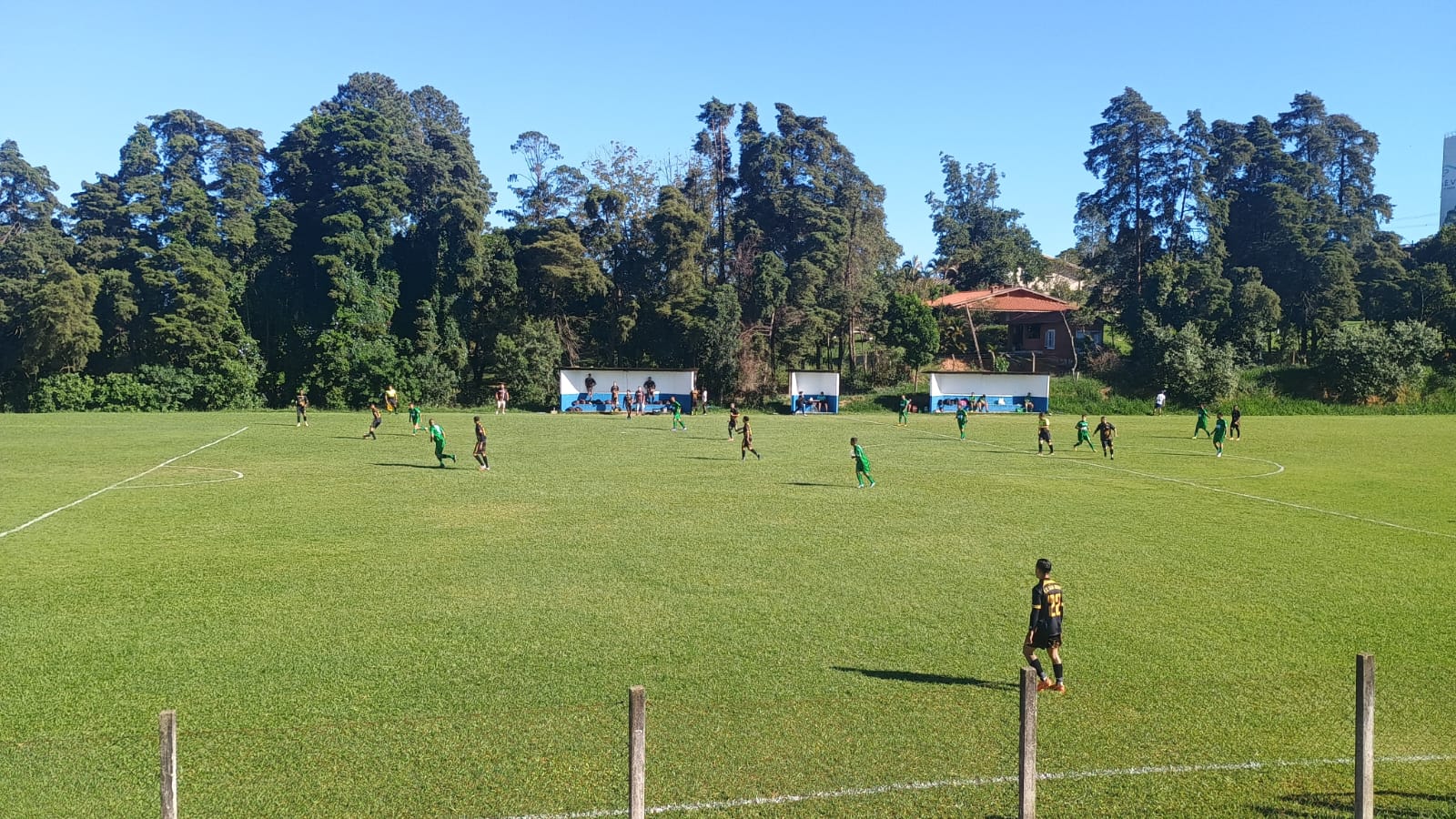 tes Terceiro Setor Alternativa Saúde Classificados Opinião Pulicidade Legal Ediç