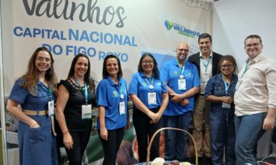 tes Terceiro Setor Alternativa Saúde Classificados Opinião Pulicidade Legal Ediç