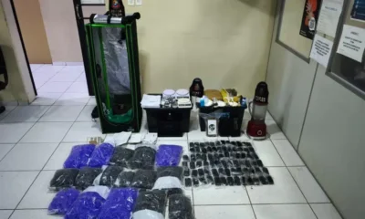 tagem sobre Campinas e região por meio do WhatsApp do acidade on Campinas: (19)