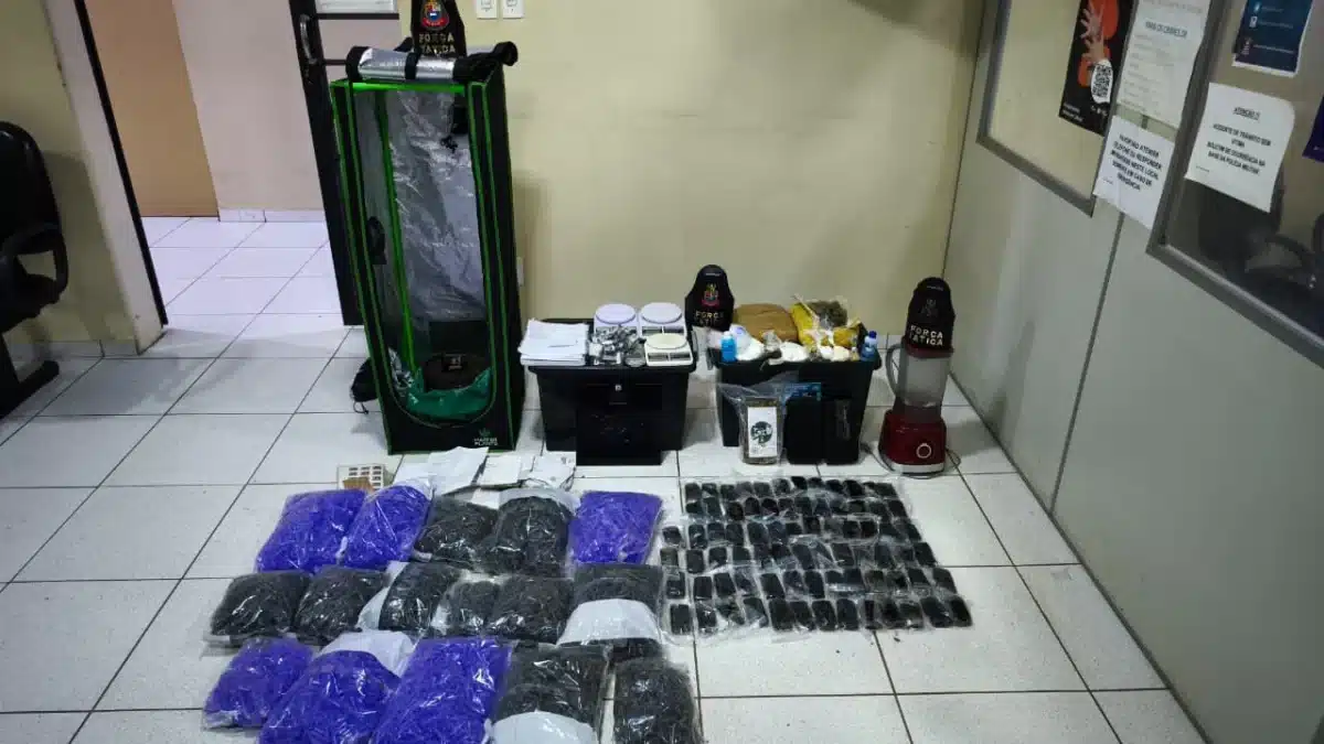 tagem sobre Campinas e região por meio do WhatsApp do acidade on Campinas: (19)