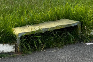 te Edições Completas Outras Classificados Gente Nossa Você Repórter Resumo de No