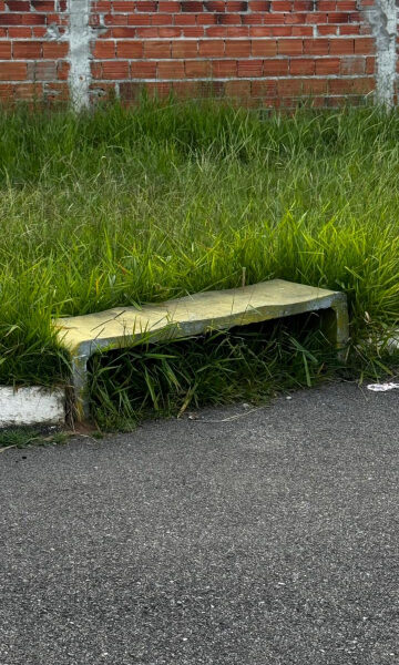 te Edições Completas Outras Classificados Gente Nossa Você Repórter Resumo de No