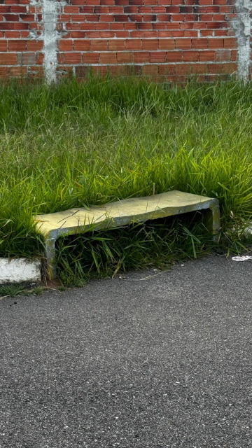 te Edições Completas Outras Classificados Gente Nossa Você Repórter Resumo de No