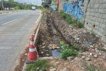 te Edições Completas Outras Classificados Gente Nossa Você Repórter Resumo de No